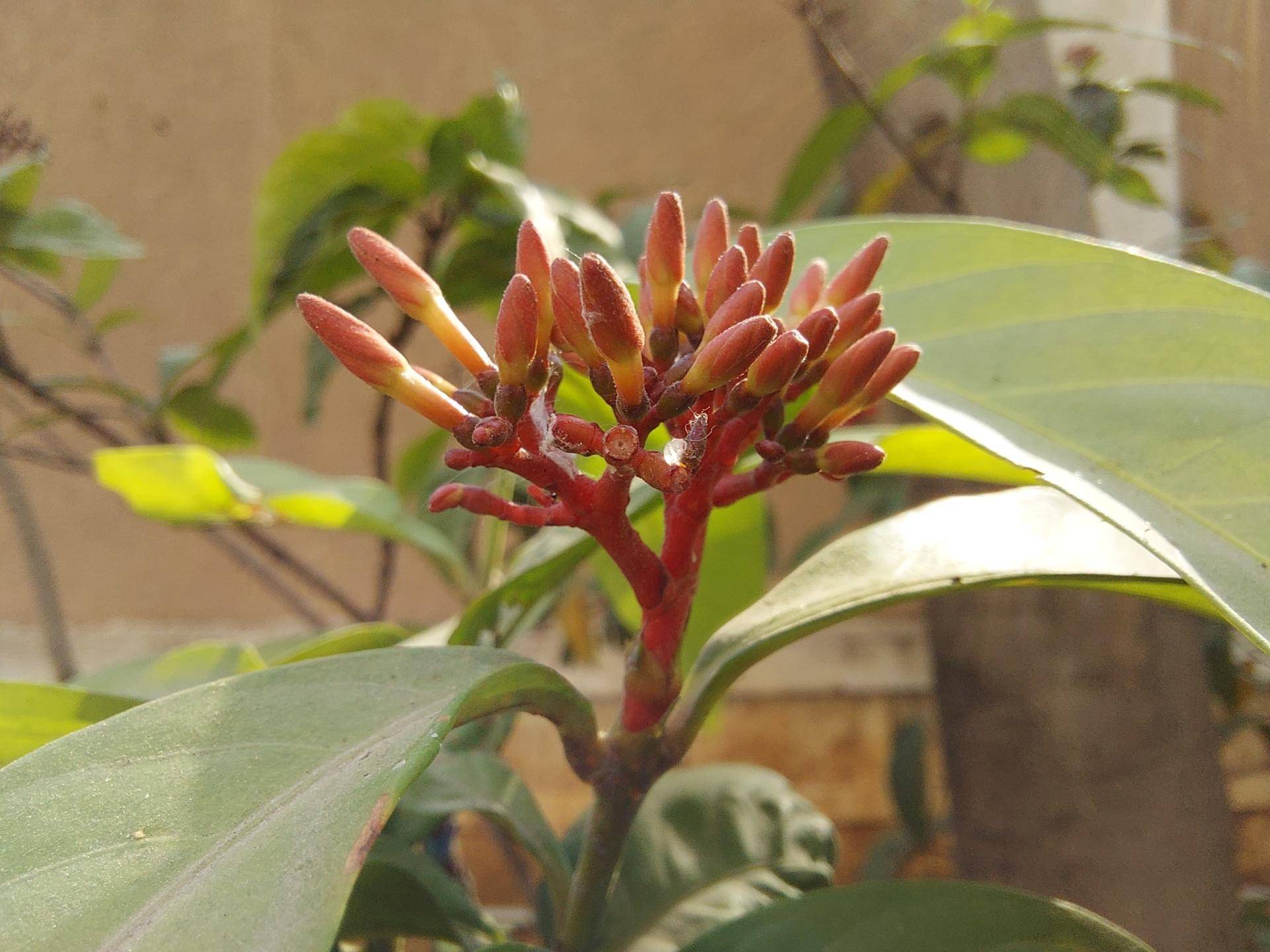 外媒三星galaxys10全系列上手体验,三星galaxys10sm-g9730评测