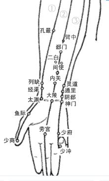 把穴位像药物一样分类后,运用竟如此简单