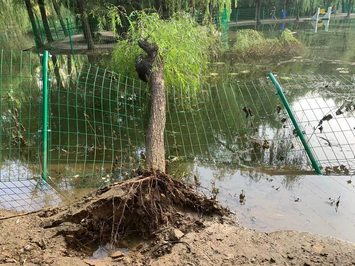 郑州21世纪社区杀人案,暴雨过后的郑州家园