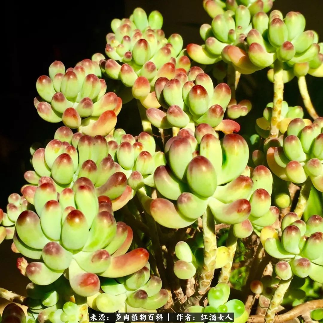 记录走过的美景留下美好的回忆,记录走过的每一段美好时光