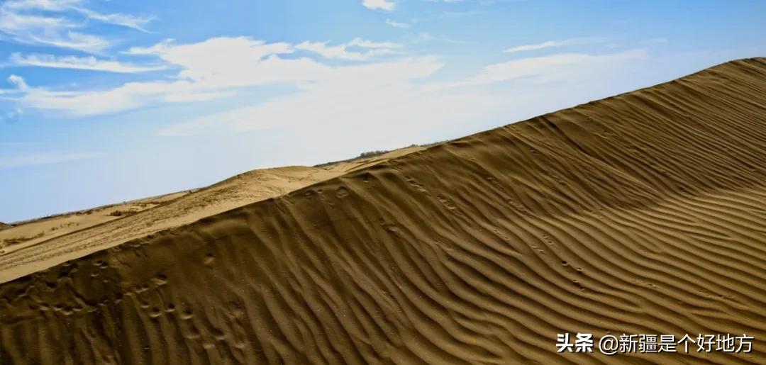 金秋游新疆全景图,喀什金秋风景