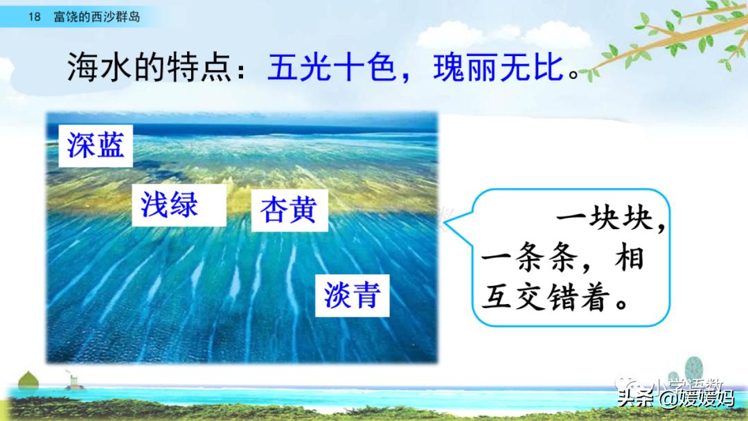 三年级第18课富饶的西沙群岛视频,三年级上册18富饶的西沙群岛笔记