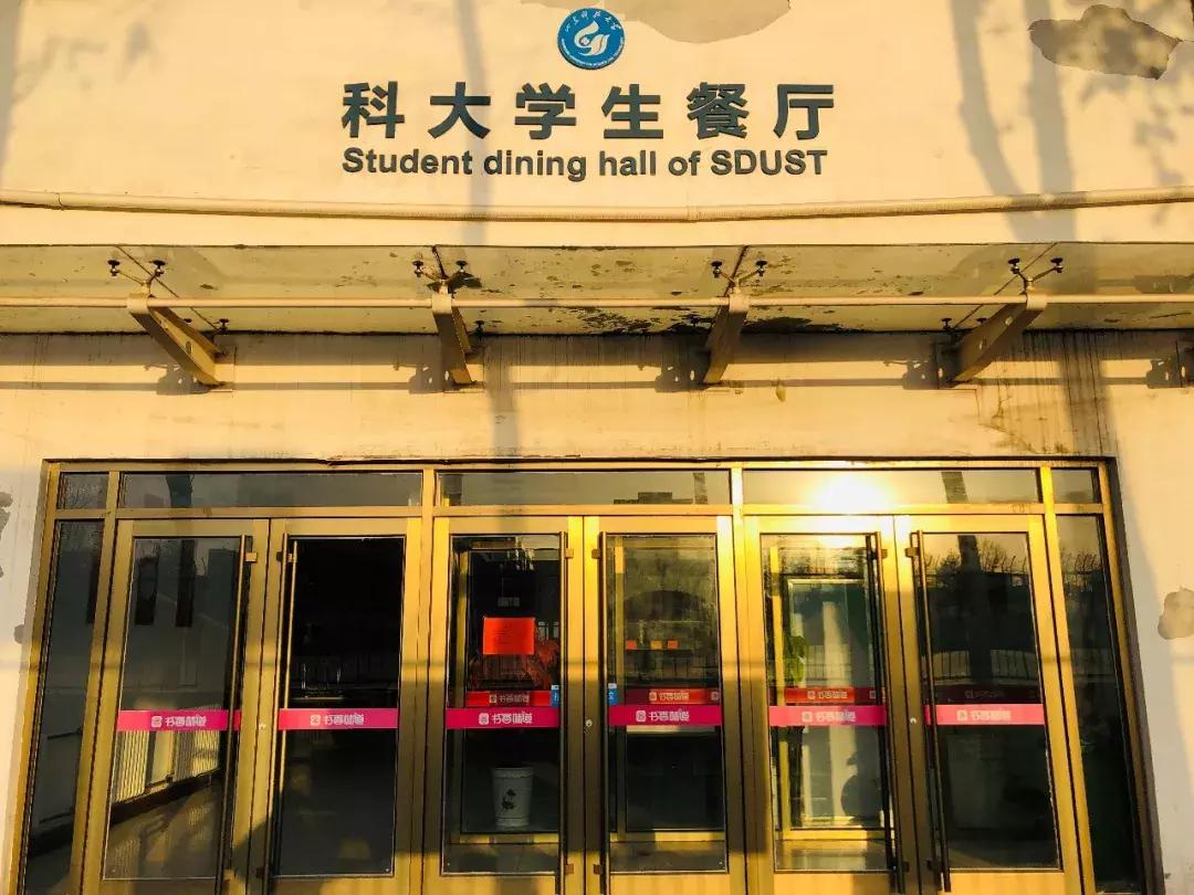 山东科技大学,不再见!