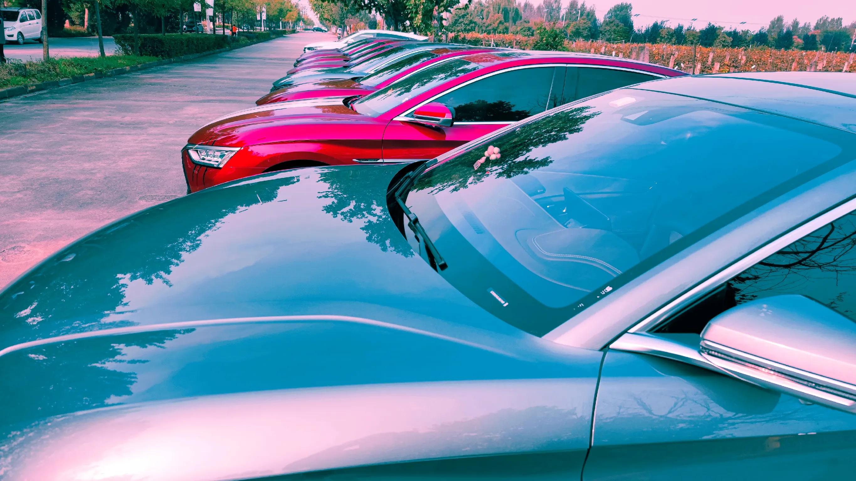 车友会大型CS真人秀