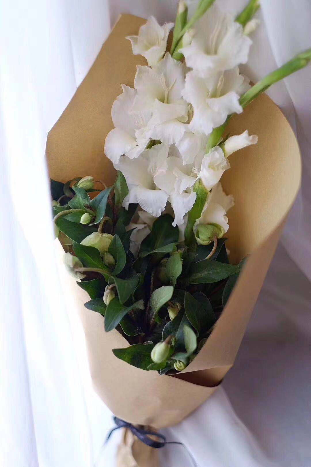 洋桔梗鲜花养护技巧,鲜花红豆养护技巧