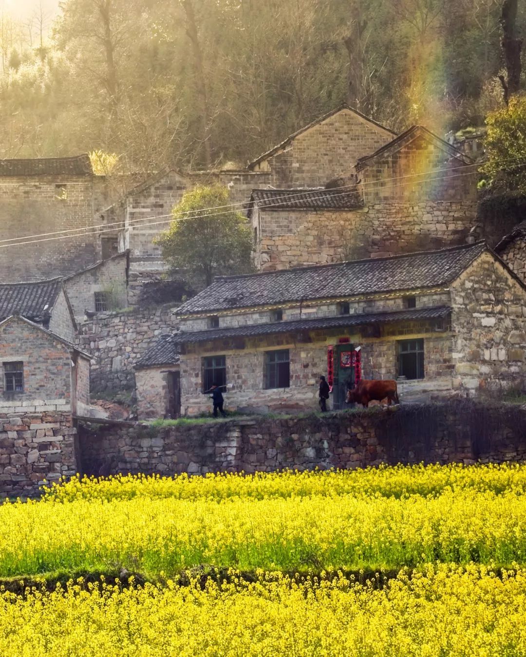 信阳人和河南人的关系,河南人与信阳人