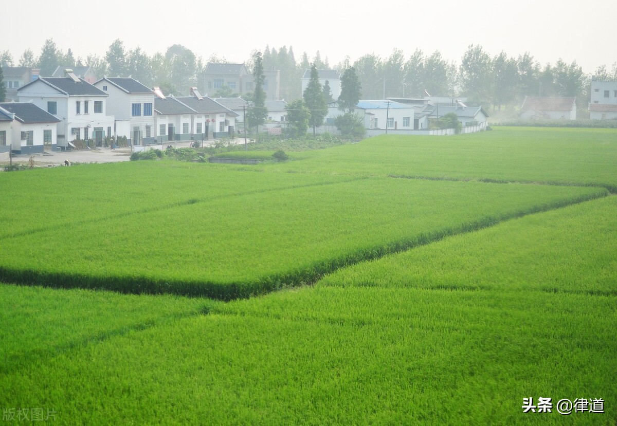 土地承包期满发包方要收回怎么办,农村土地承包期满后怎么处理