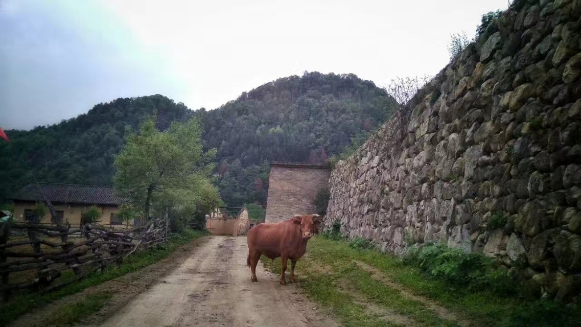 西安秦岭山下世外桃源,秦岭深处世外桃源图片