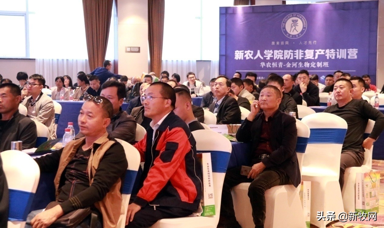 中原农保助力生猪行业稳产保供,助力春耕高质量增产量