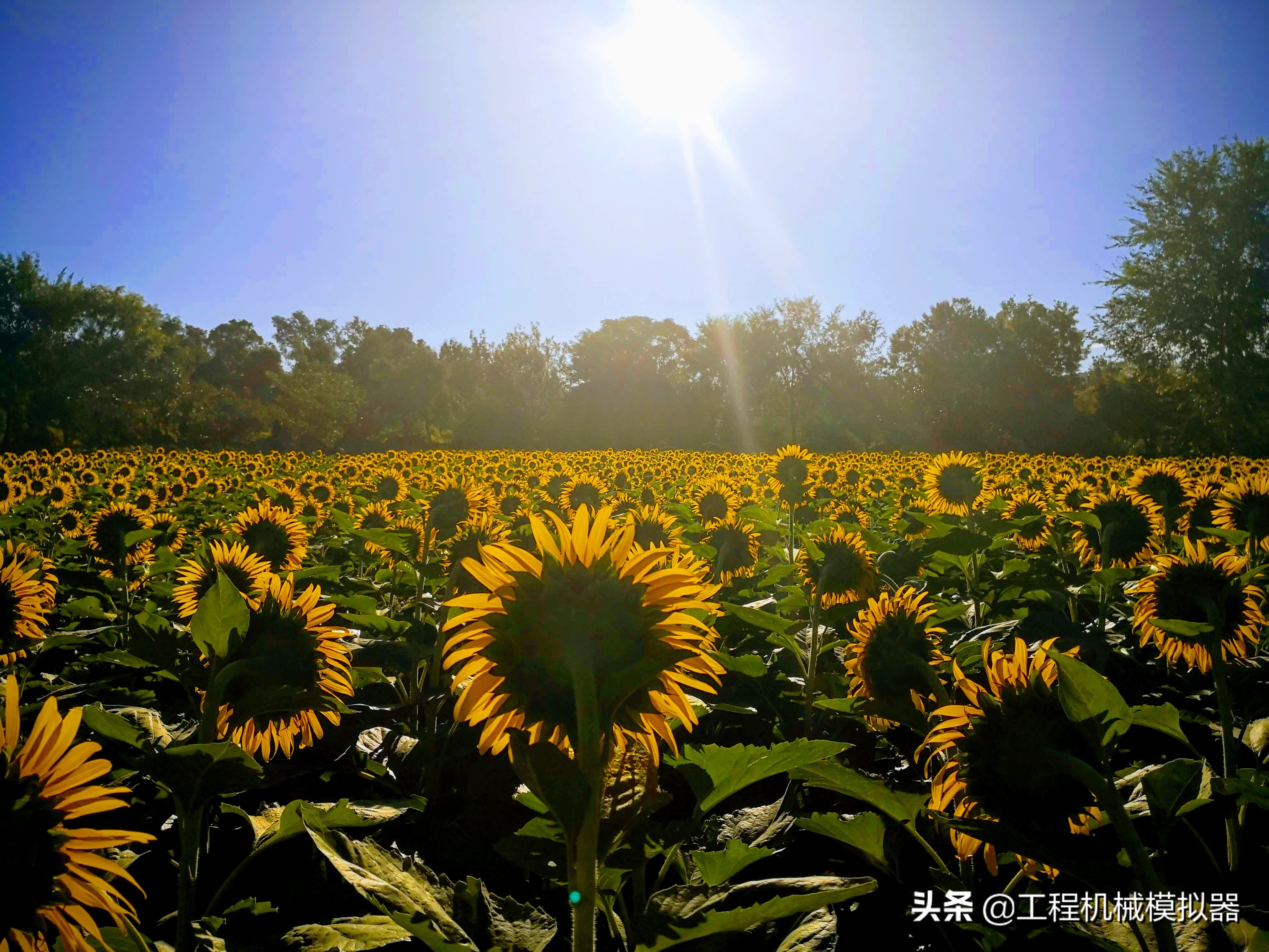 一位护士小姐靠近他，俯下身，嘴巴一张一合的
