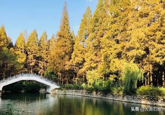 湖北有哪些县市风景最好,湖北有什么山水风景