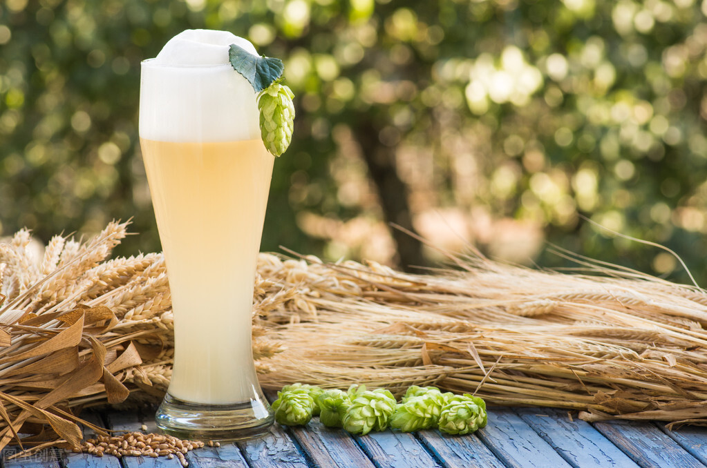 啤酒怎么喝比较容易喝下去,啤酒怎么喝比较好喝