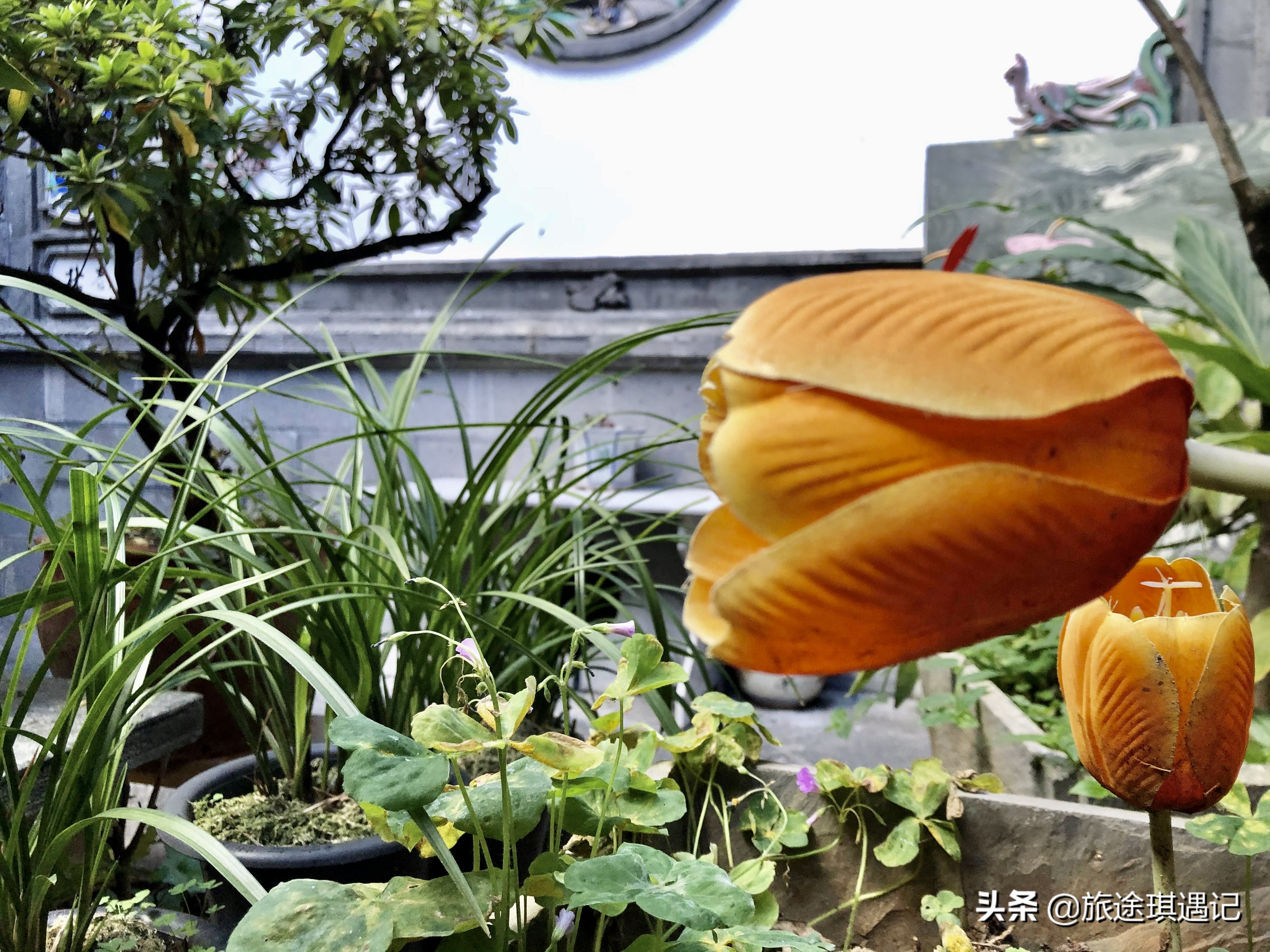 去云南要怎么玩才好呢,去云南玩最省钱的方法是什么