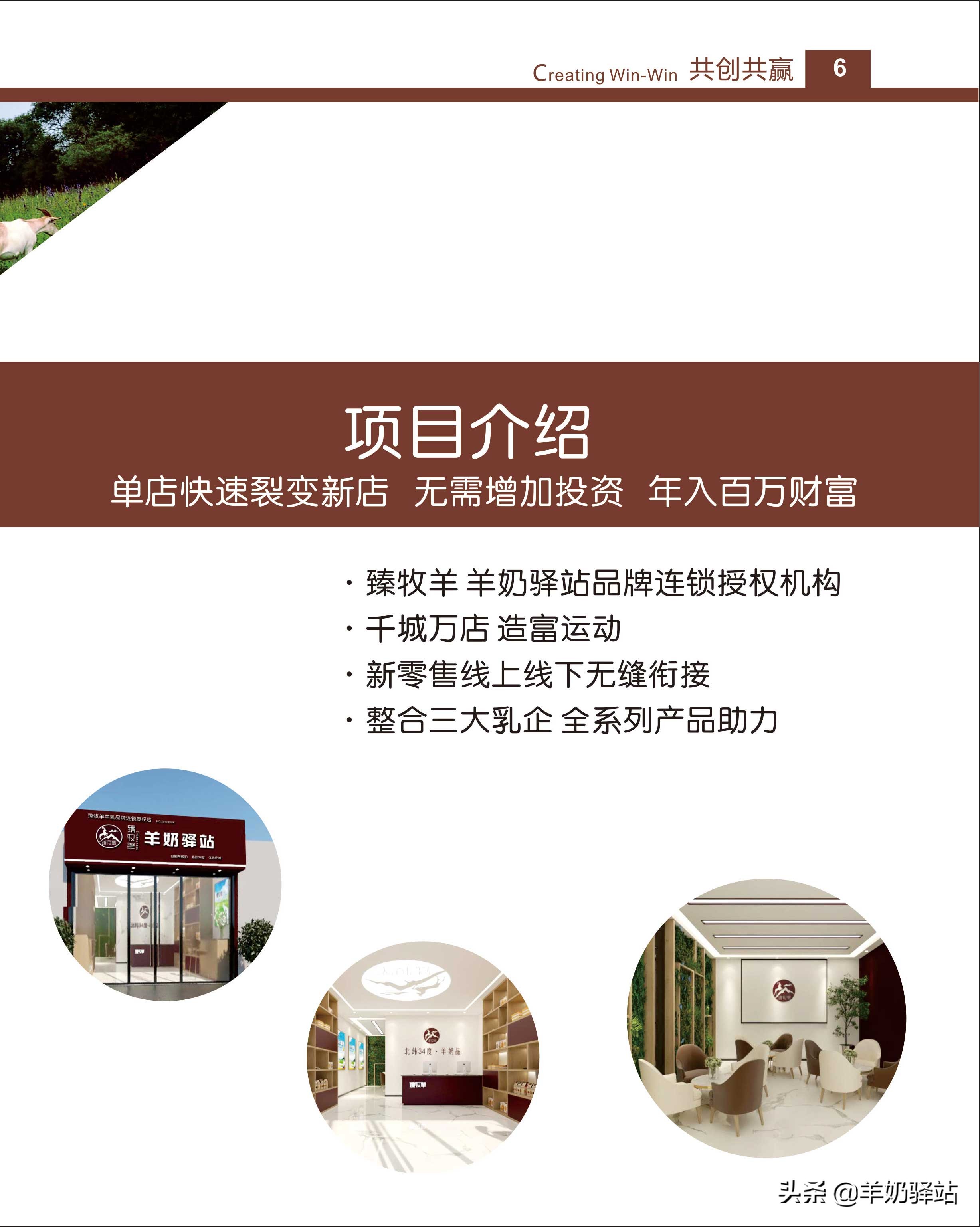 羊奶驿站加盟宣传片,羊奶驿站加盟经营模式