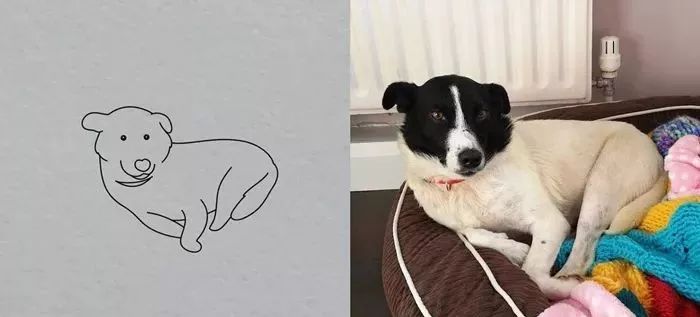 你和大触绘画的区别：一看就会一画就废，这波动物简笔画太形象了