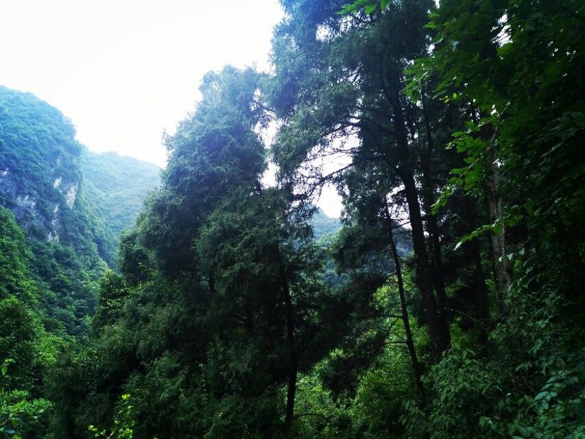 汉江源头在啥地方,汉江的源头和尽头在哪里