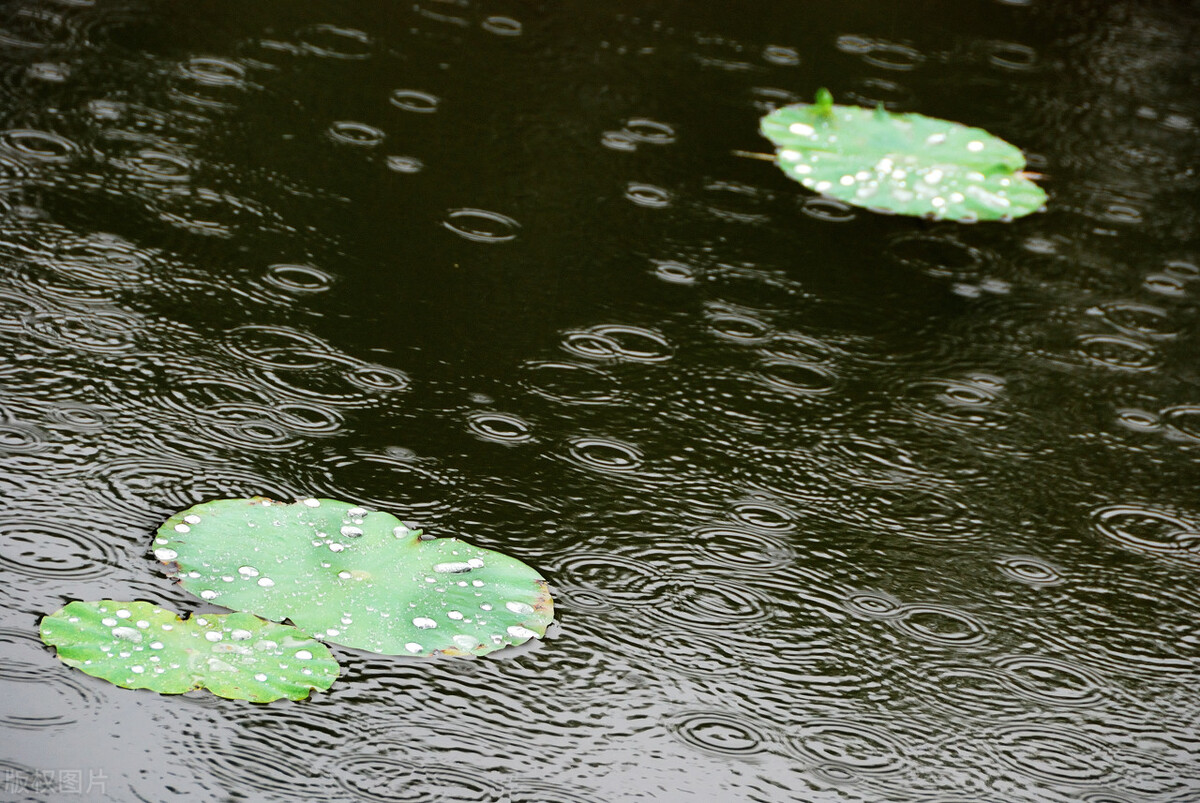 下雨对鱼情的影响，主要体现在三个层面