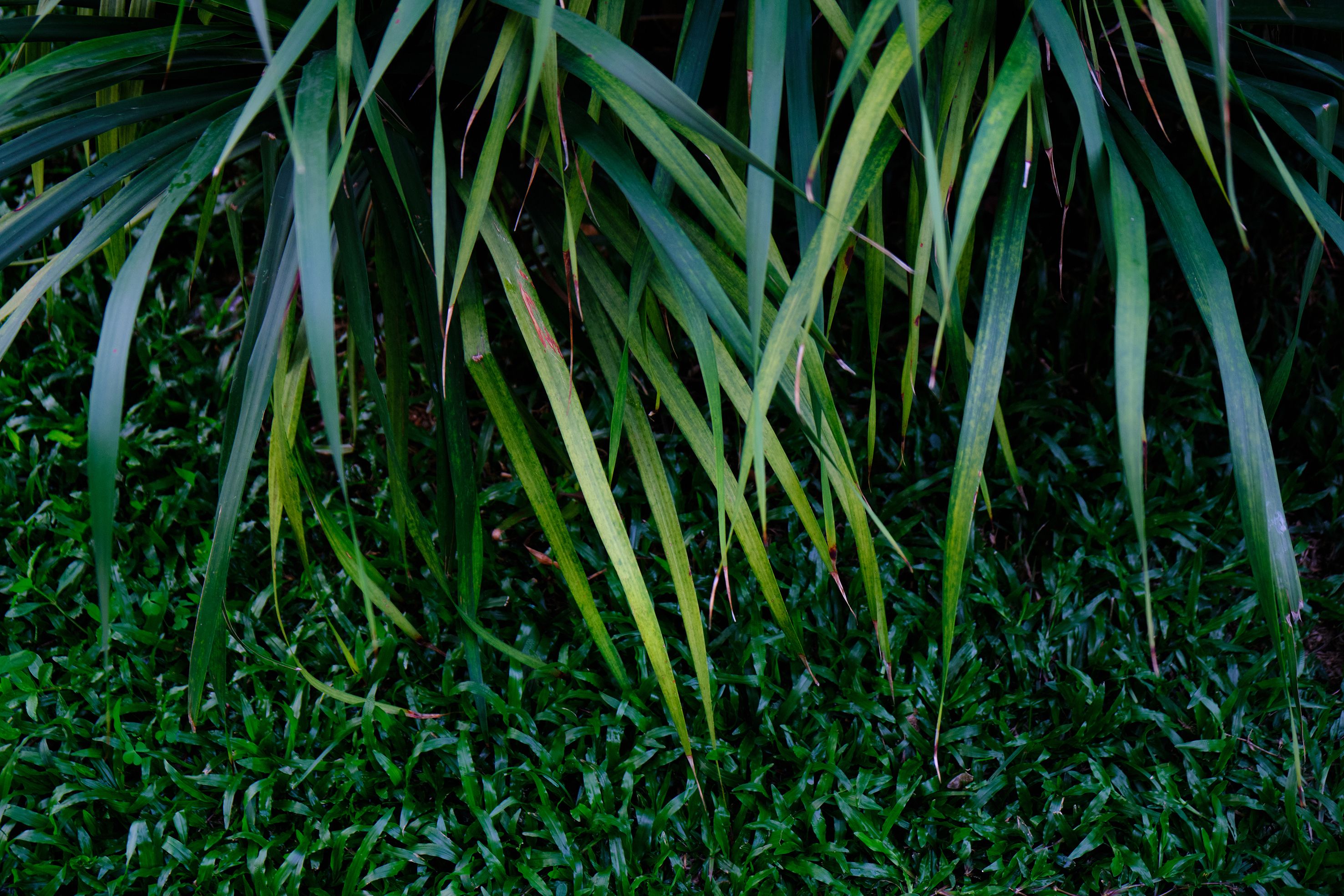 2020入门相机,2020年的相机图片