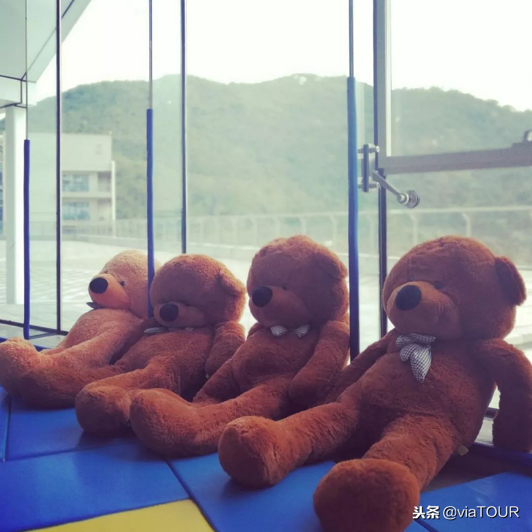 国庆南澳岛两天一夜攻略,东澳岛国庆两日游攻略