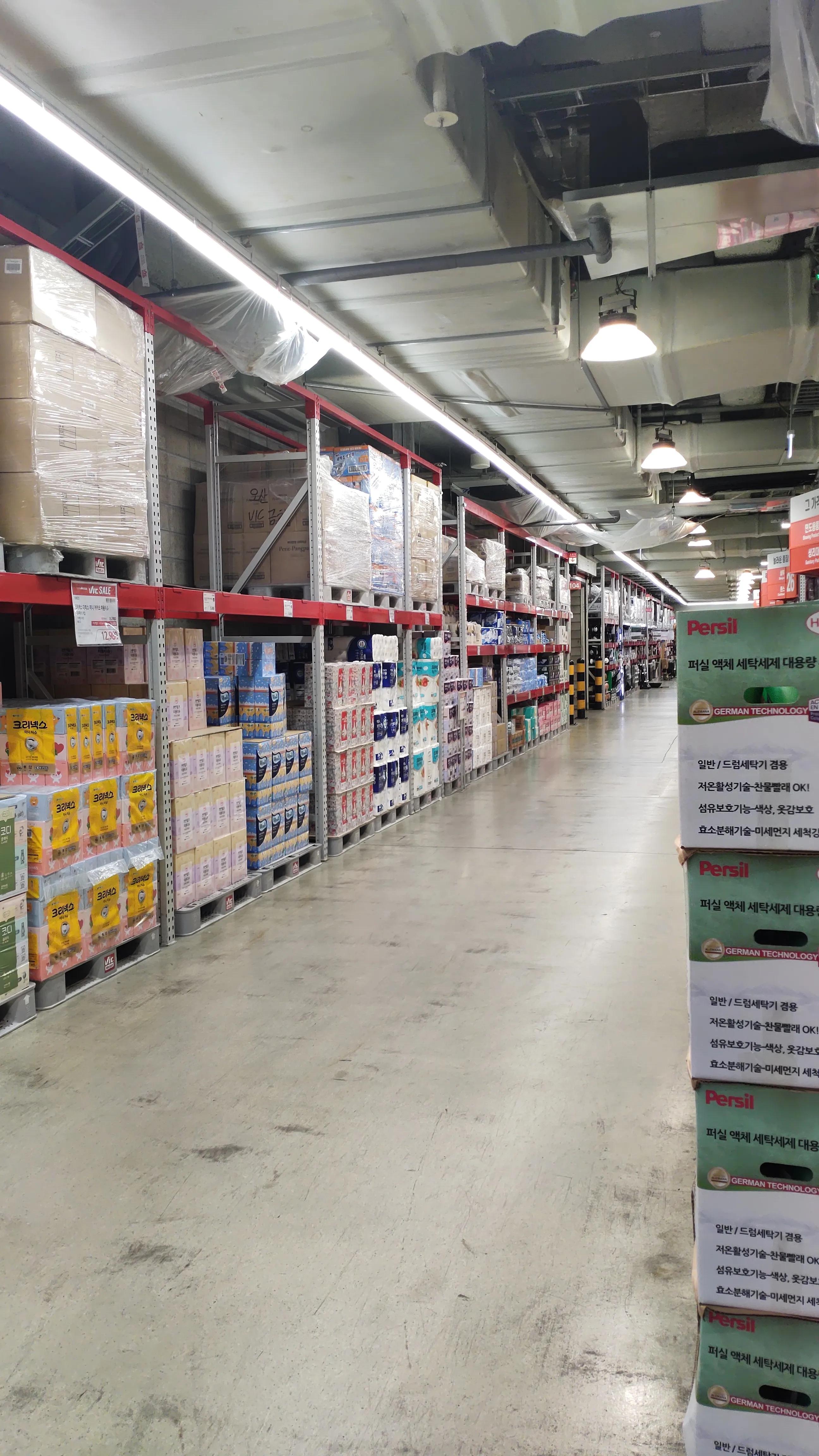 首尔layered咖啡,首尔很多萨摩耶的地方