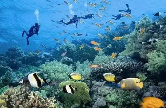 城市印象小区好不好,城市印象海安