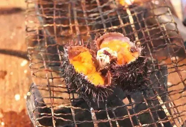 海胆为什么叫海胆,海胆为啥叫海胆