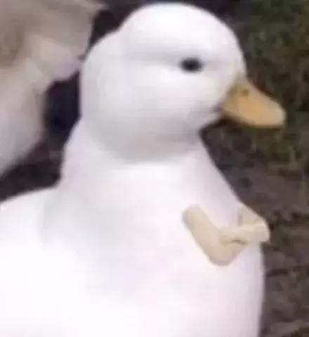 小个子显瘦衣服145-150爆款,5套小个子显高显瘦穿搭