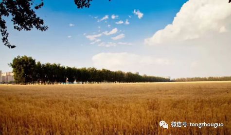 狠砸3000万！通州这里添休闲公园，10多个小区受益！