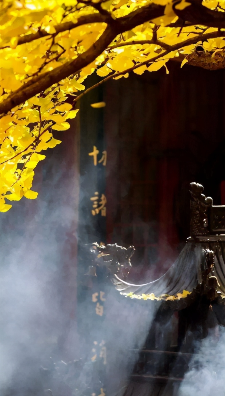 诗词赏析每日一首思念,诗词赏析每日一首秋