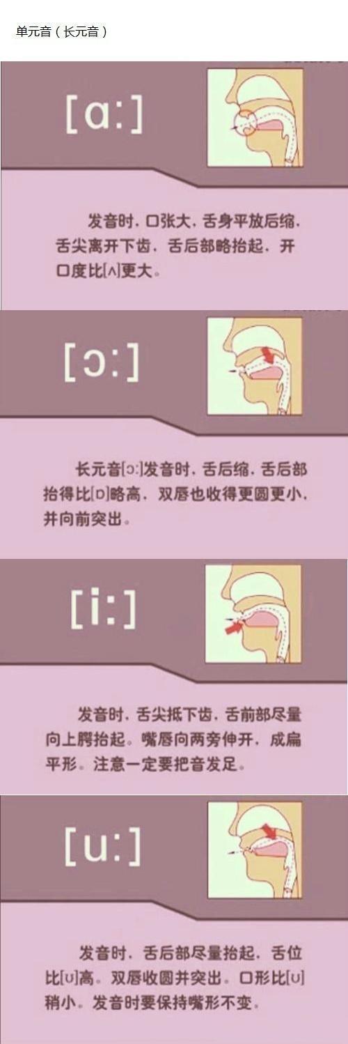 英语音标n的发音,英语音标发音图解读