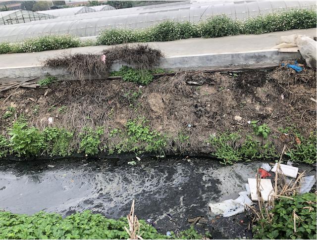 农村玉米秸秆窝棚,石棉瓦窝棚