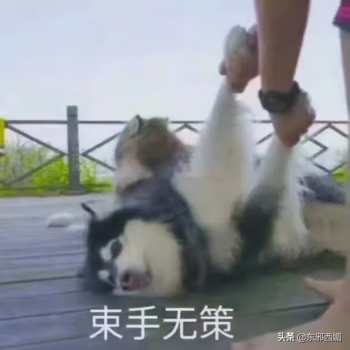 有对比就有伤害是没错,但晚节不保也是真的