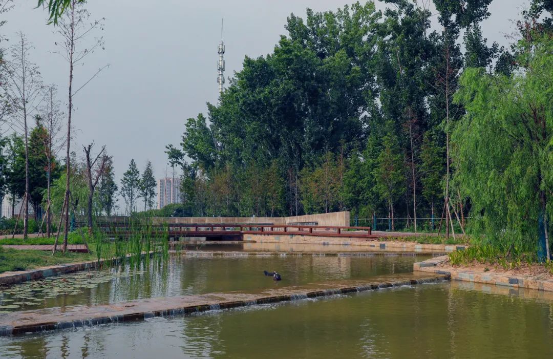 百年老院发新芽！市属医院北扩填空白，郑州市三院北院区开诊