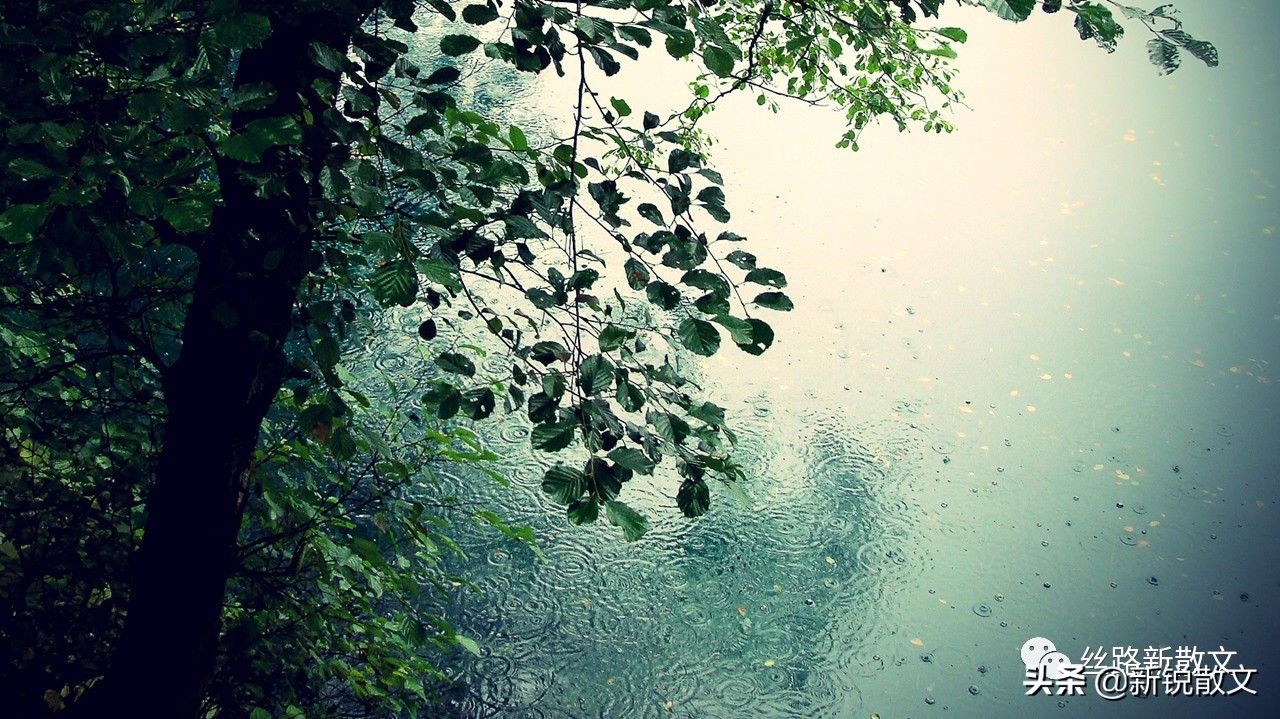 与继母相处六年，我从来不和她说话，直到我二十岁，她给我过生日