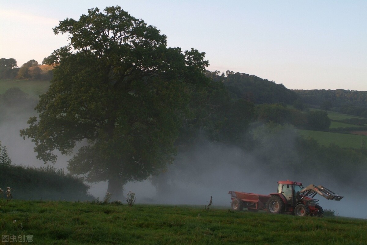 坟前枯树须迁坟是什么意思,坟前枯树须迁坟预示什么