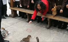 搞笑gif开心一刻满满的正能量,搞笑gif开心每一天