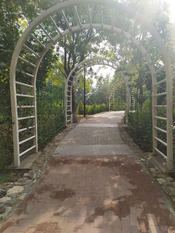 东环公园冬季图片,东环公园景点的介绍