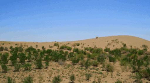 马云55岁退休后的感悟,马云退休后的最后一次演讲