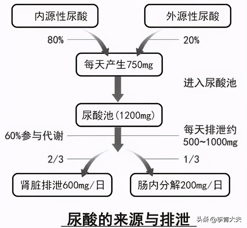 家族痛风影响寿命吗,家族痛风最新治疗方案