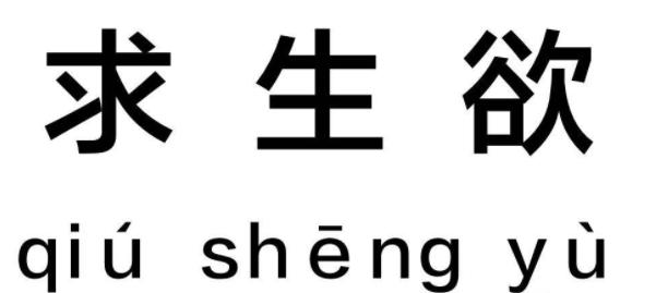 被央视芒果打码成“失格艺人”，曾说出不雅言论的她要凉了？
