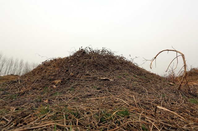 祖坟在别人家田里能埋新坟吗,祖坟在人家地里人家让迁坟怎么办