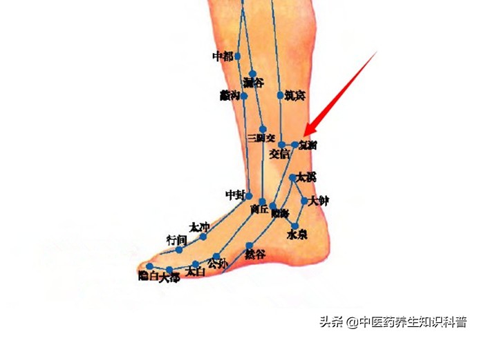 穴位按摩和吃药哪个有作用,按摩穴位补肾比吃药强