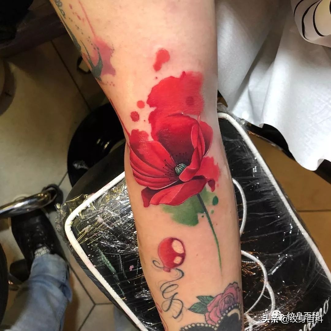 *粟罂**花纹身，致命的吸引~