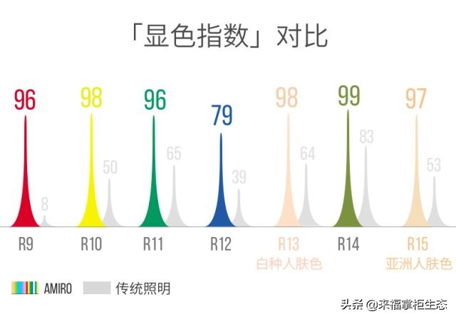 月黑风高倾国倾城,月黑风高日光明媚