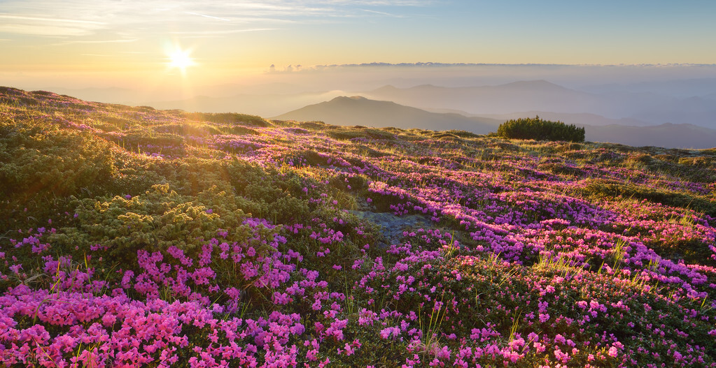 肾虚引起的腰痛是什么感觉,肾虚导致的腰痛是什么症状