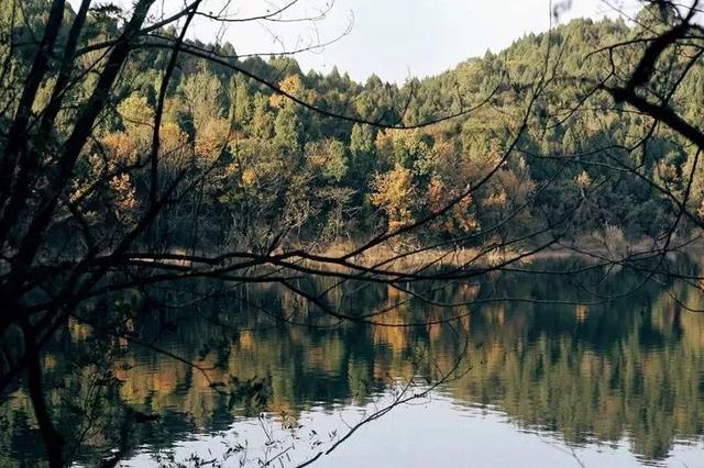 不当环球小姐，她跑到深山，种菜、调香，过上佛系人生