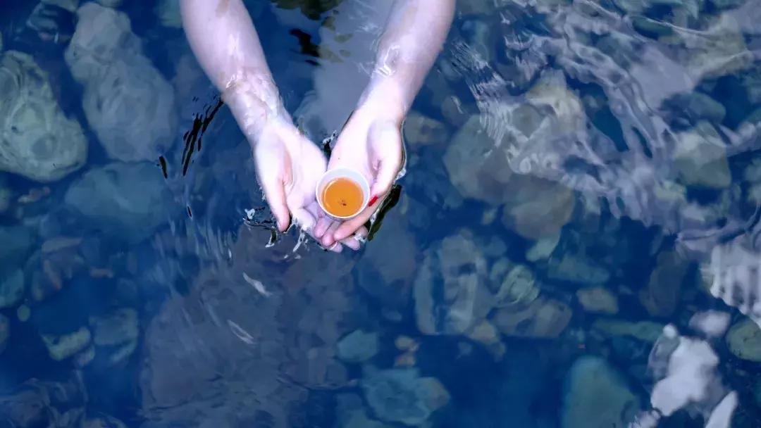 武夷山亲子民宿推荐独栋别墅,武夷山一同山居茶文化民宿