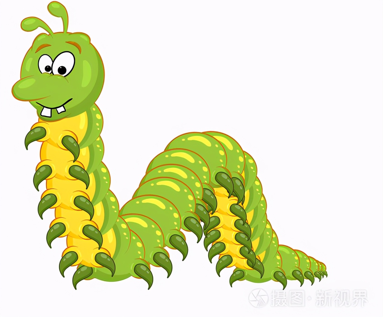 马陆大量出现是什么预兆,家里出现马陆是怎么回事