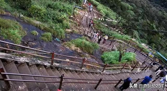 斯里兰卡努沃埃利耶小镇,斯里兰卡努沃勒埃利耶茶厂