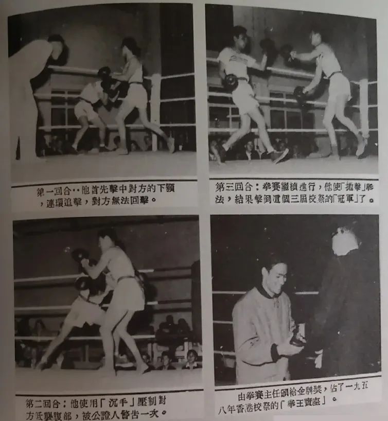 香港影坛十大实战高手,香港武打明星十大排名